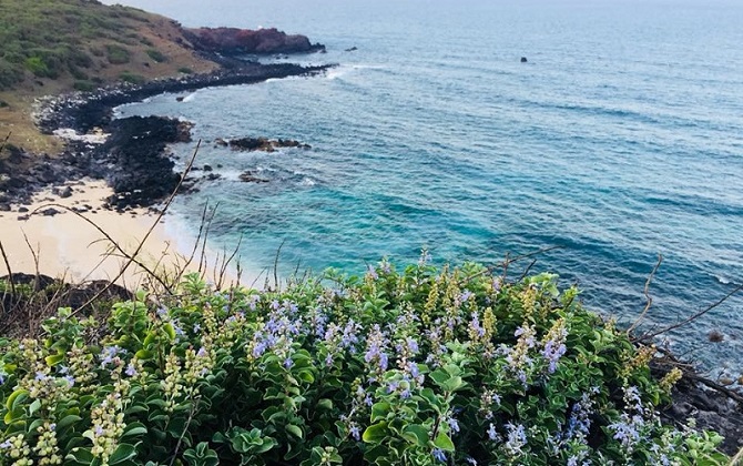 Muốn nạp 'vitamin sea' mà vừa đẹp vừa nên thơ thì cứ đến đảo Phú Quý