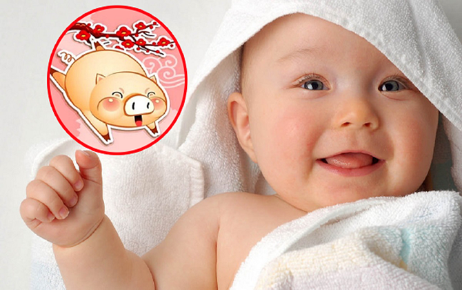 Sinh con Kỷ Hợi 2019 có gì tốt mà cha mẹ nào cũng săn cho kỳ được?