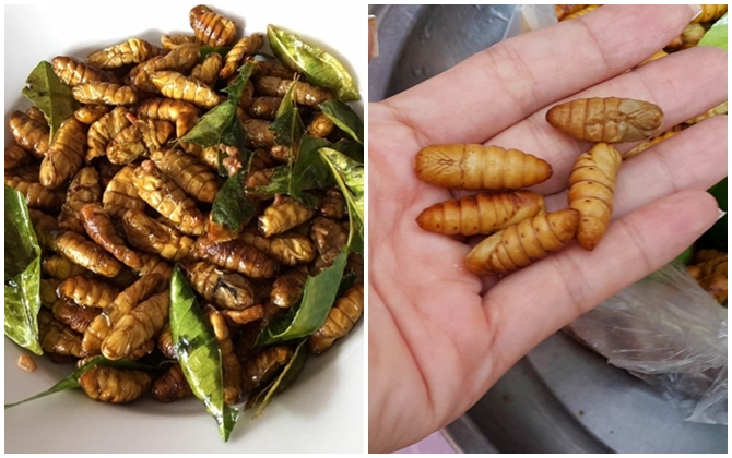 Nhộng tằm béo béo bùi bùi, rang cùng lá chanh thì ngon hết ý