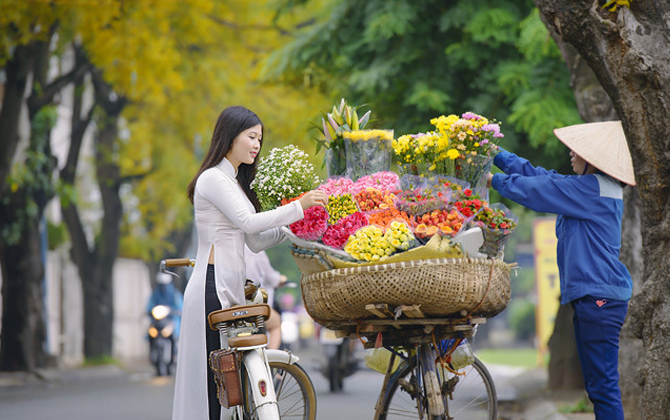 Ngắm thu Hà Nội trong trẻo, bình yên qua những hàng hoa rong rực rỡ sắc màu trên phố