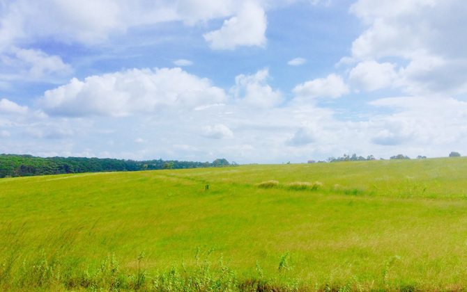 Đầu năm muốn 'xuất cảnh', hãy đến cao nguyên Mondulkiri ngay gần Việt Nam