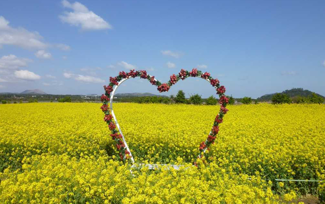 Valentine là thời điểm thích hợp nhất để cùng nửa kia nắm tay đến 'hòn đảo tình yêu' Jeju ở Hàn Quốc