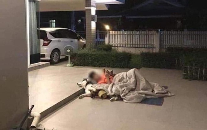 Chồng cắp chăn đòi ra ngủ với 'chân dài' giữa đêm, biết lý do vợ vừa buồn cười vừa tức
