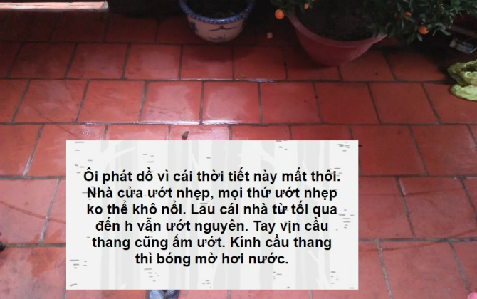 Nhiều người muốn "phát điên" vì kiểu thời tiết nồm ẩm, trong nhà ngoài sân chỗ nào cũng ướt nhoẹt