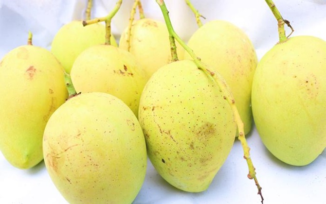 Đi mua xoài chín, thấy 3 dấu hiệu này tốt nhất nên tránh xa kẻo phí tiền