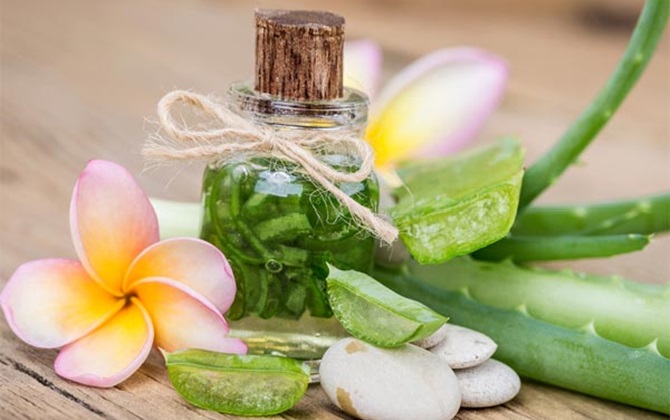 Khỏi tốn tiền mua gel tạo kiểu tóc bạn cứ dùng các nguyên liệu dễ kiếm là mái tóc đã vào nếp như ý