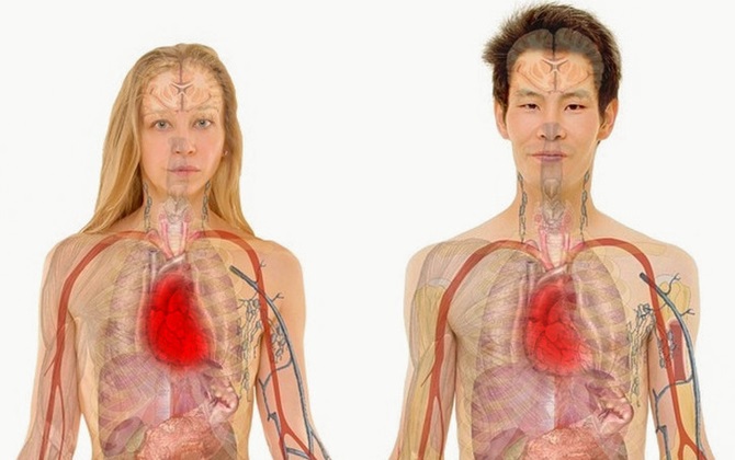 12 sự thật không thể ngờ tiết lộ cơ thể chúng ta đặc biệt như thế nào