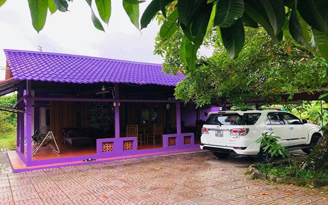 Căn nhà “tím lịm tím sim” nổi bần bật gây sốt, sự thật lại khiến mọi người tiu nghỉu