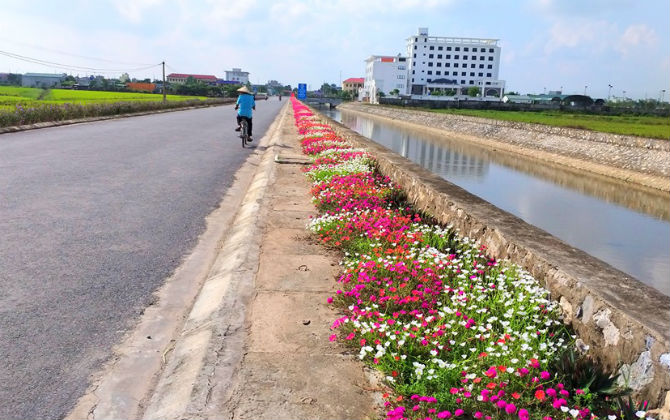 Ngỡ ngàng con đường ở nông thôn đẹp rực rỡ với những luống hoa như trong tranh, dân mạng thích thú khen hết lời