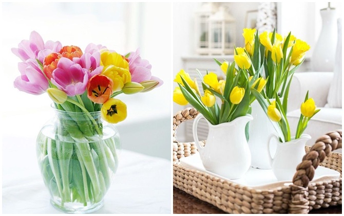 Decor ngôi nhà tràn ngập sắc xuân với những bông hoa tulip