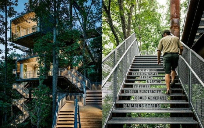 The Sustainability Treehouse – Công trình kiến trúc tìm về với thiên nhiên