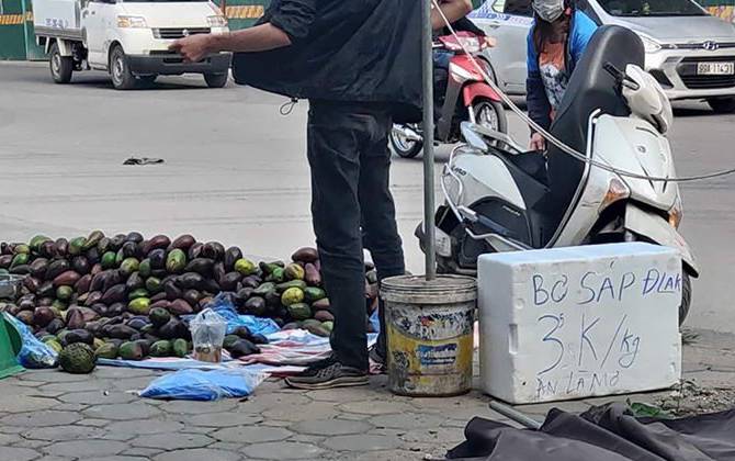 Chiêu trò bán bơ giá 3.000 đồng/kg khiến khách tưởng rẻ, dừng lại mới "tá hỏa" vì sự thật trên tấm bảng quảng cáo