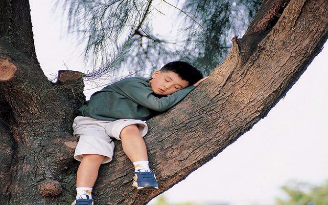 Muốn nuôi con cao lớn và thông minh, có 3 việc cha mẹ nên kiên quyết không làm từ nhỏ