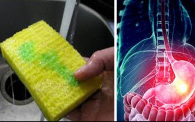 Không thể ngờ giẻ rửa bát chứa những vi khuẩn đáng sợ, bà nội trợ vẫn dùng nhưng chẳng hề biết