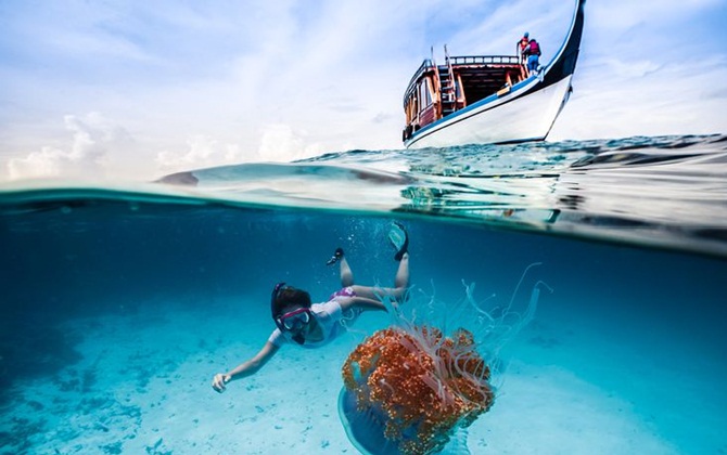 Tới Maldives, muốn lặn biển ngắm san hô thì không thể không đến những địa điểm này