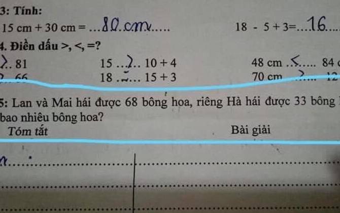 Bài toán tiểu học tính số bông hoa ai cũng nghĩ dễ, nhưng một chi tiết khiến triệu người "vắt óc" không giải nổi gây xôn xao