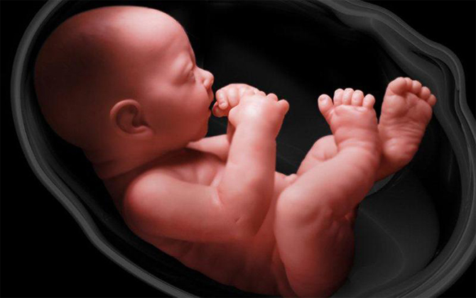 Đừng nghĩ rằng bé nằm trong bụng mẹ chỉ ăn và ngủ, bé cũng phải làm 3 nhiệm vụ cực kỳ quan trọng đấy!