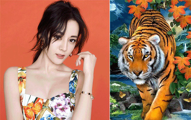 3 con giáp phúc dày, mệnh lớn, về sau ắt hưởng giàu sang, phú quý