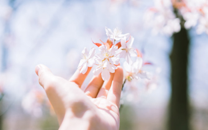 Tâm phải biết buông bỏ thì đời mới nở hoa, lòng không còn nặng nề thì thân thể mới tự tại…

