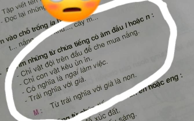 Câu đố tìm chữ l, n trong sách khiến phụ huynh 'kêu trời', nhiều người đồng tình có 'vắt óc' cũng khó trả lời nổi