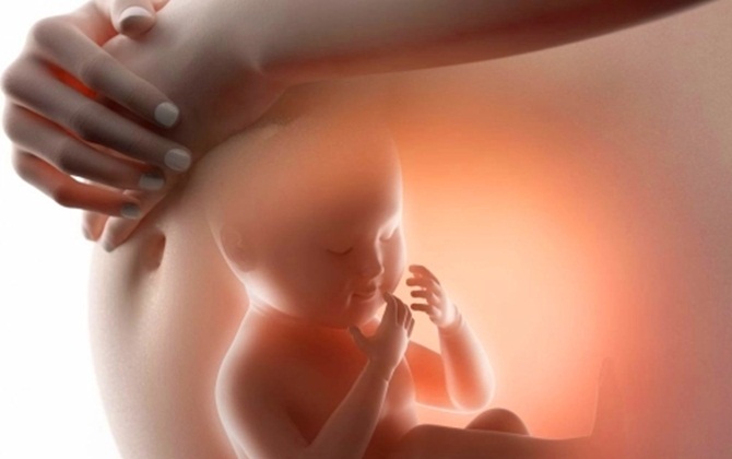 3 điều con học được ngay từ khi còn trong bụng mẹ