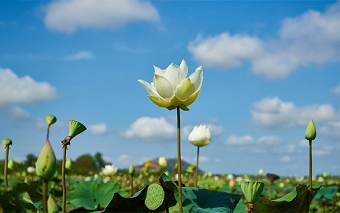 Vì cuộc đời ai cũng có những lầm lỡ, và ai cũng cần được có cơ hội trở nên tốt hơn chính họ của ngày hôm qua