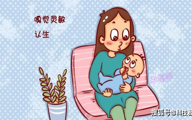 4 thói quen khó chịu lại chứng tỏ bé đang ngày càng thông minh, bố mẹ chú ý nhé