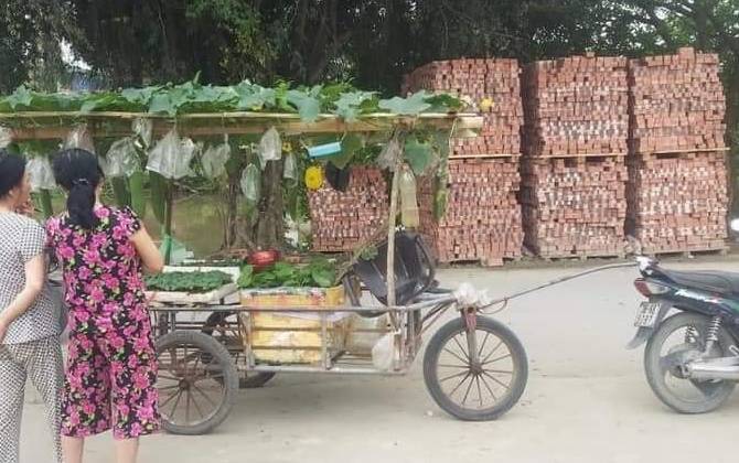 Hình ảnh khó tin người bán hạt giống chở cả dàn bí, thùng rau trên xe đẩy, dân mạng khen hết lời vì lý do này