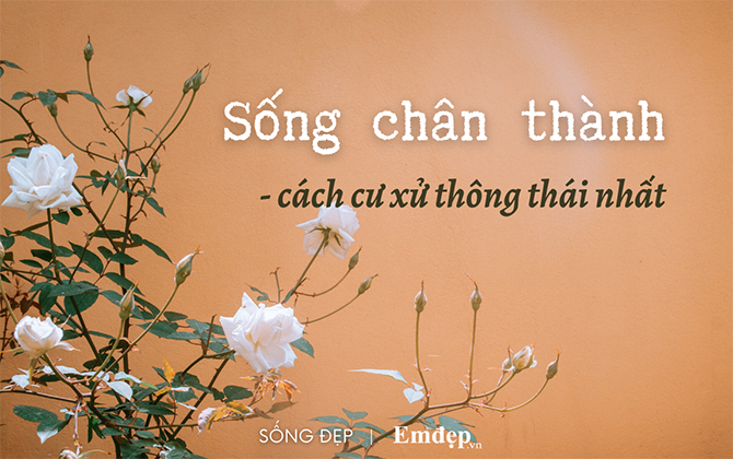 Không phải giả tạo, chân thành mới là cách cư xử thông thái nhất