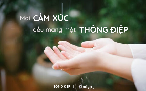 Sự tích cực cũng có thể trở thành ‘độc dược’: Có những khi ta cần để bản thân được tiêu cực