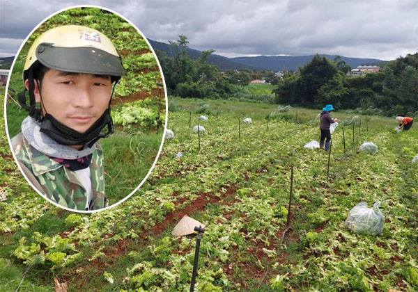 Anh nông dân ủng hộ vườn rau 10 tấn cho bà con TP.HCM: 'Khi làm từ thiện, không còn tính toán đến chuyện lỗ nữa'