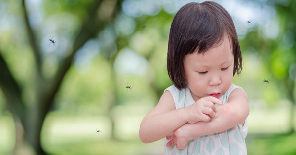 Mùa hè đến, bé liên tục bị muỗi đốt, mẹ phải làm sao?