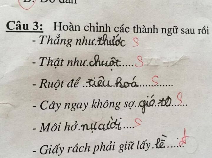 Thêm một bài tập tiếng Việt điền thành ngữ của học sinh tiểu học, nhìn đáp án ai cũng bật cười 'sai bét'