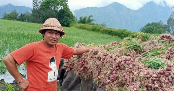 Hành động đẹp với cộng đồng của nông dân lâm vào cảnh rau quả không ai mua giữa lúc khó khăn