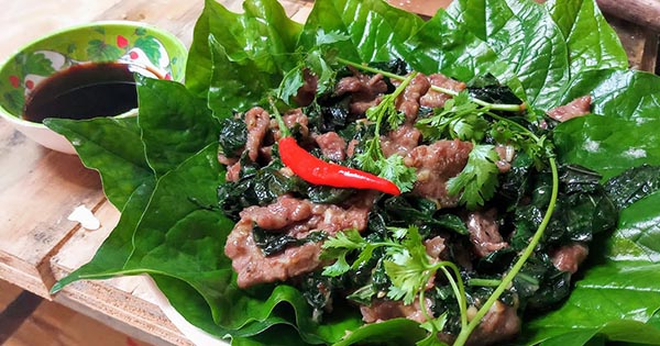 3 món ngon từ lá lốt, vừa ngon vừa lạ cho nàng tha hồ đổi bữa