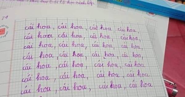 'Ôm bụng cười' cô giáo giao bài tập về nhà 'viết 29 chữ cái hoa', học sinh cặm cụi làm nhưng không hiểu đề và cái kết thật sự 'khó đỡ'