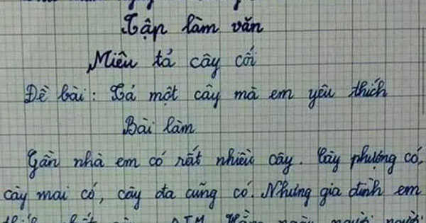 Cười nghiêng ngả với bài văn tả cái cây của học sinh lớp, dân mạng xúm lại: "Cây mà tui đang cần là đây"

