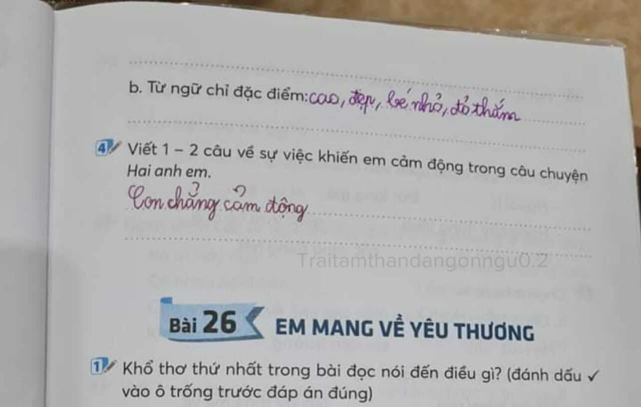 Đề bài yêu cầu viết 1-2 câu khiến bản thân cảm động, học sinh tiểu học ghi một dòng ai cũng phải 'ngã ngửa'