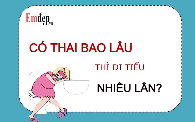 Có thai bao lâu thì đi tiểu nhiều? Mang thai tuần đầu có đi tiểu nhiều không?