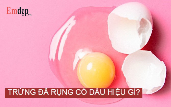 Trứng đã rụng có dấu hiệu gì? 9 dấu hiệu trứng đã rụng rồi