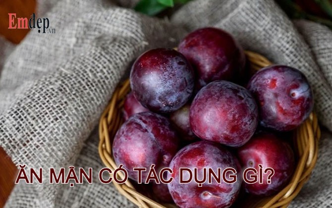 Ăn mận có tác dụng gì? 15 tác dụng của quả mận có thể bạn chưa biết