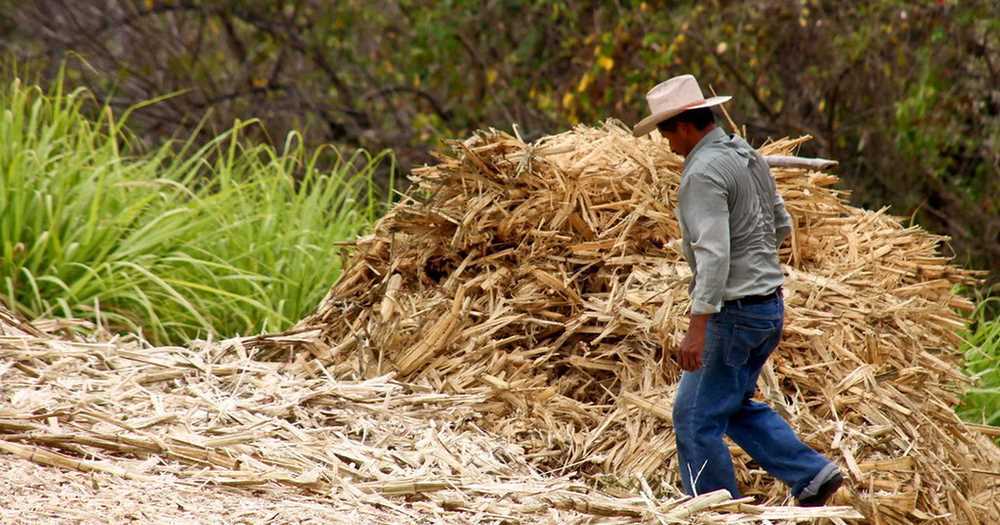 Câu chuyện 2 người bạn và 2 bao gạo: Đừng bao giờ cầu xin Thượng đế nếu thiếu 1 điều này