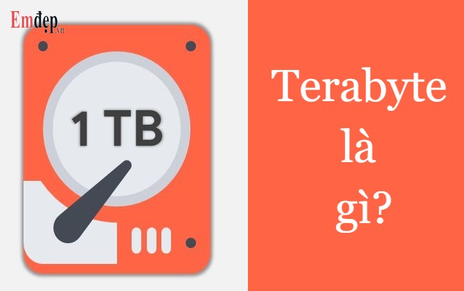 Terabyte là gì? 1 terabyte bằng bao nhiêu GB, MB, KB và B?