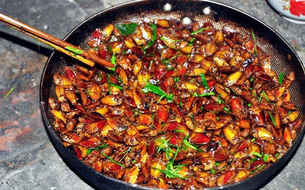 Loài vật nghe tên đã 'rùng mình', mùi cực hôi, vậy mà dân mạng rủ nhau ăn, cảnh báo nguy cơ có thể gặp