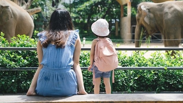 Cha mẹ có tầm nhìn xa thường xuyên đưa con đến 3 địa điểm rẻ tiền mà hiệu quả giáo dục cao