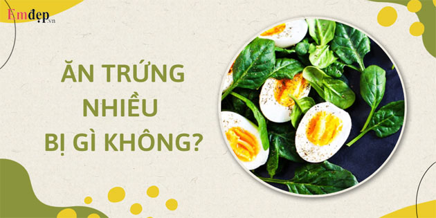 Ăn trứng nhiều bị gì không? Tác hại của việc ăn nhiều trứng