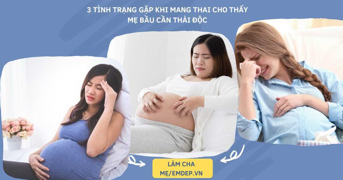 3 tình trạng gặp khi mang thai mẹ bầu cần chú ý thải độc cơ thể nhanh chóng, nếu không bé có thể bị vàng da