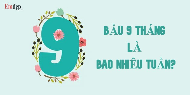 Bầu 9 tháng là bao nhiêu tuần? 1 tuần thai là bao nhiêu ngày