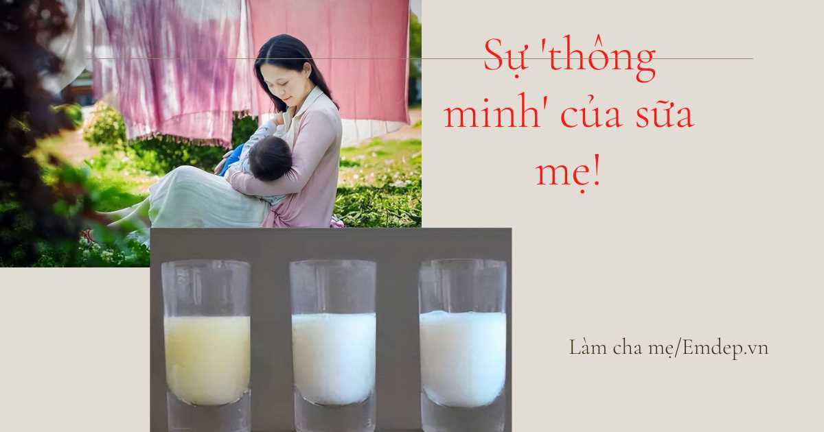 Sự 'thông minh' của sữa mẹ!