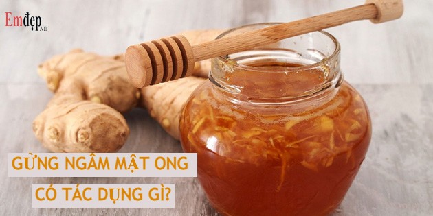 Gừng ngâm mật ong có tác dụng gì? Uống gừng mật ong vào lúc nào?